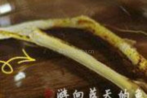 五指毛桃煲银耳的做法图解4