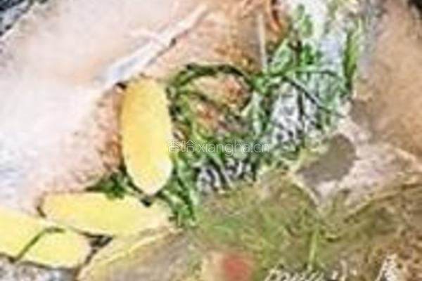 鲫鱼汤的做法图解12