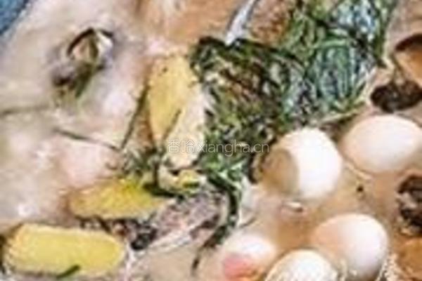 鲫鱼汤的做法图解18