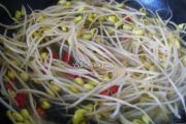 豆芽辣鸡的做法图解6