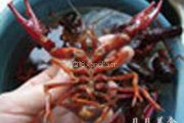 麻辣小龙虾的做法图解1