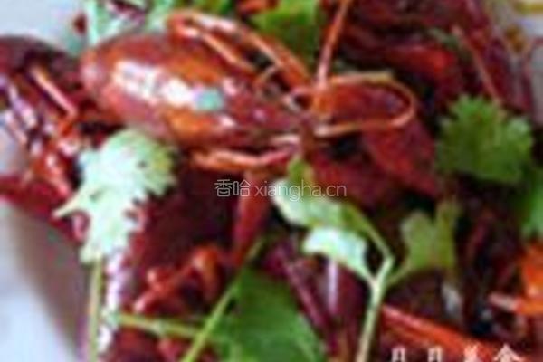 麻辣小龙虾的做法图解7