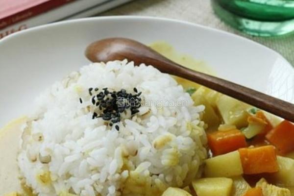 时蔬咖喱鸡