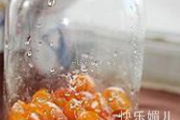 糖渍金橘的做法图解8