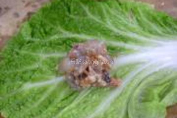 虾肉白菜包的做法图解3