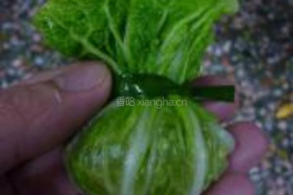 虾肉白菜包的做法图解5