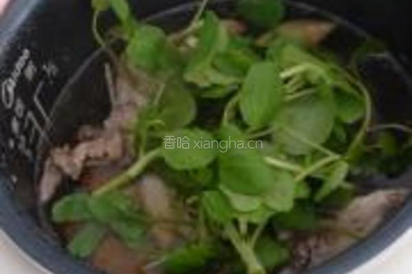 西洋菜蜜枣鸡汤的做法图解5