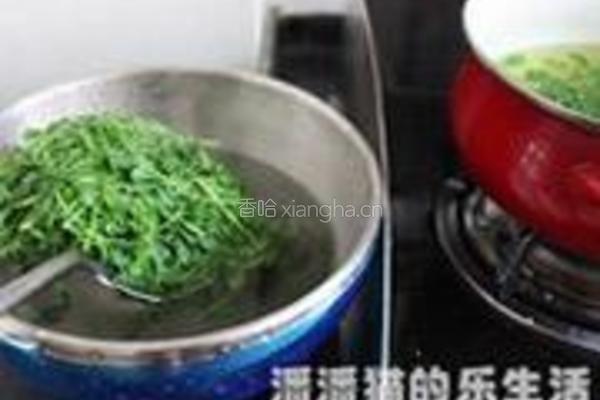 核桃仁拌豆尖的做法图解4