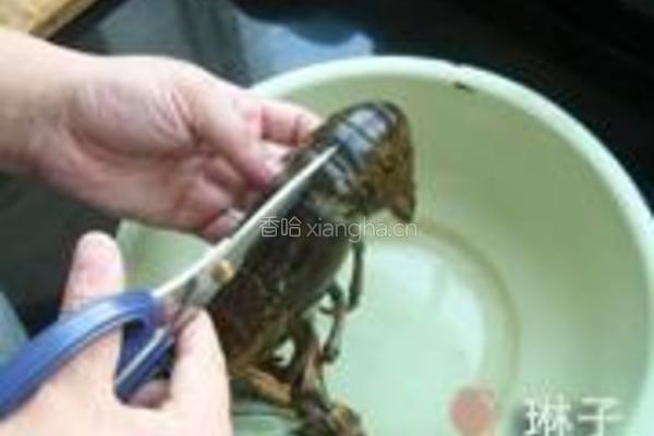 蒜蓉开背蒸龙虾的做法图解2