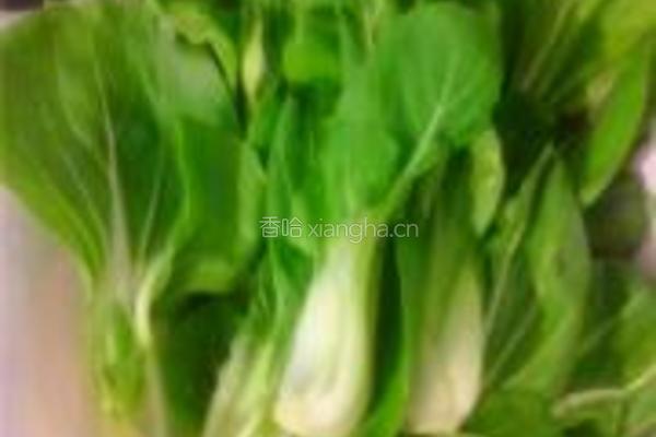 平菇油菜的做法图解1