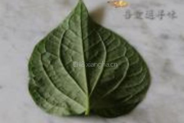 胡椒叶卷肉的做法图解10