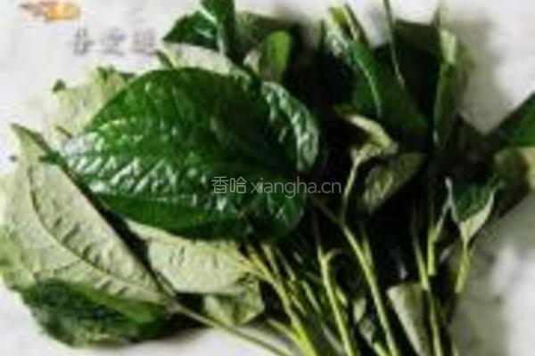 胡椒叶卷肉的做法图解5