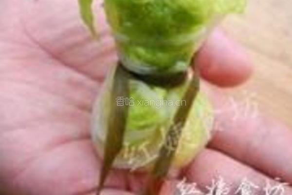 茄汁菜包的做法图解16