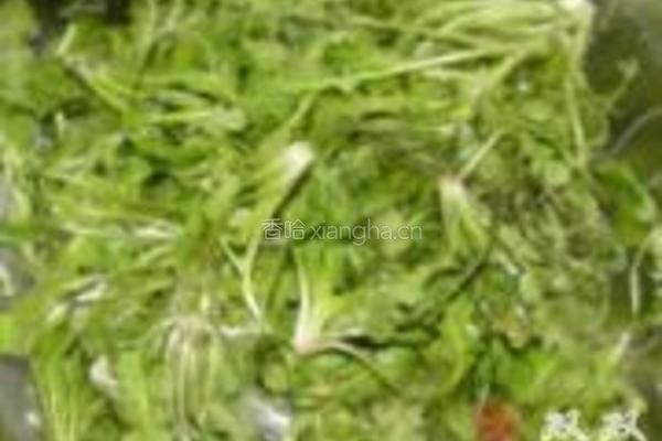冬瓜蓉荠菜汤的做法图解5