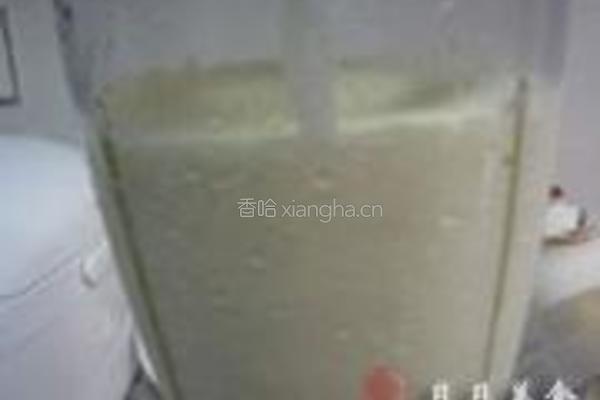 香草冰淇淋的做法图解13