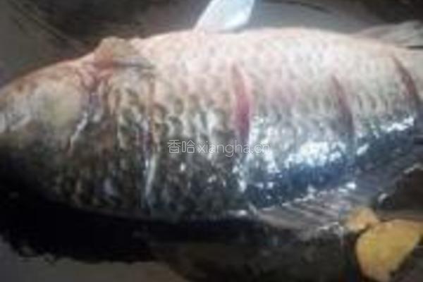 野菜干炖鲫鱼的做法图解6