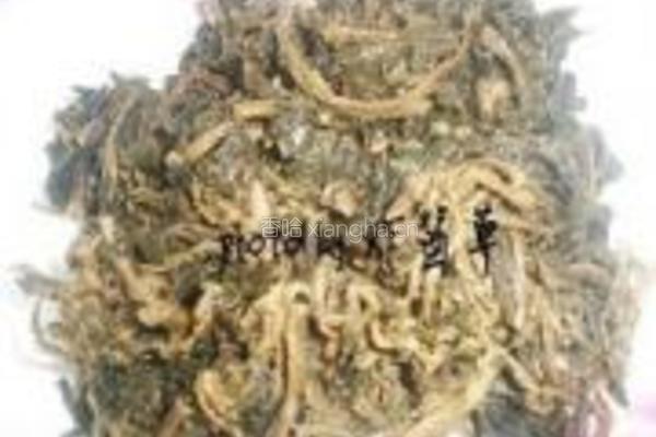 野菜干炖鲫鱼的做法图解3