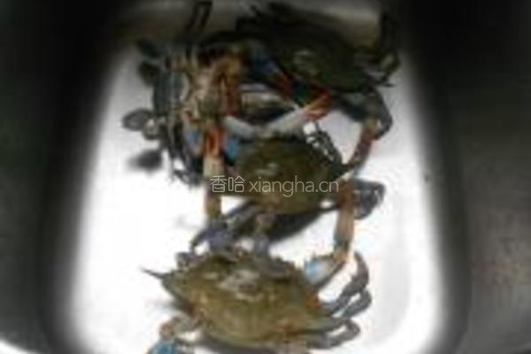 海蟹冬瓜煲的做法图解1