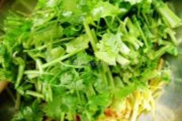 土豆丝拌香菜的做法图解5