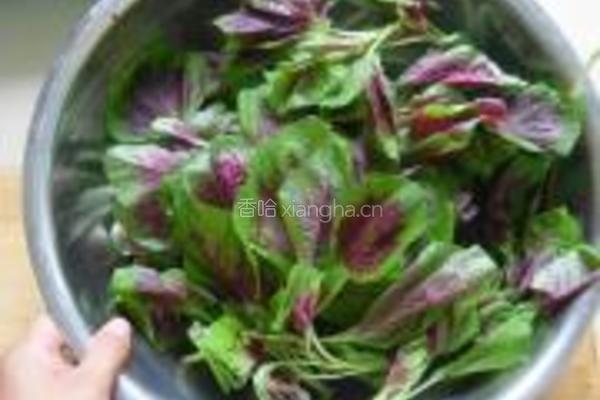 清炒苋菜的做法图解1