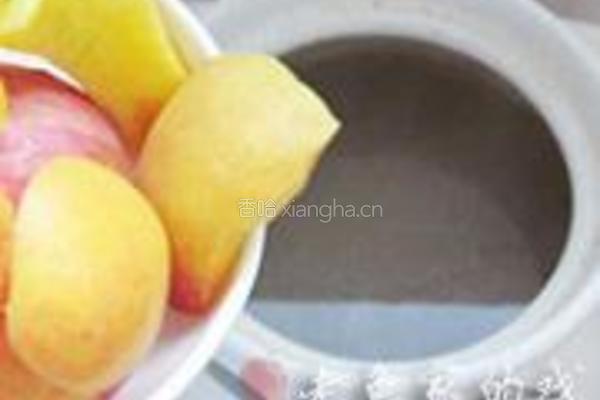 苹果杏肉沙骨汤的做法图解8
