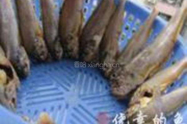 椒盐酥煎小黄鱼的做法图解3