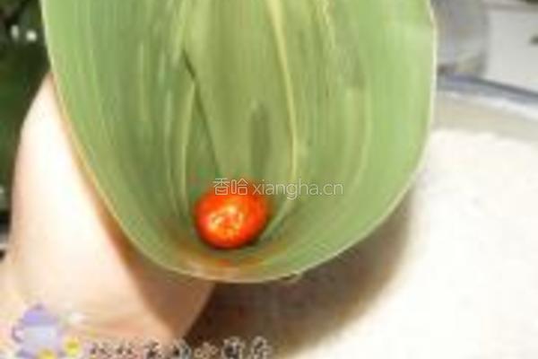 蜜枣粽的做法图解3