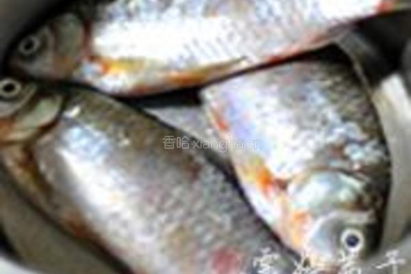 岩葱鲫鱼汤的做法图解1