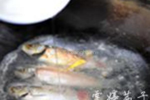 岩葱鲫鱼汤的做法图解3