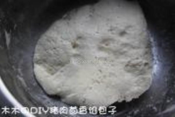 猪肉茴香馅包子的做法图解3