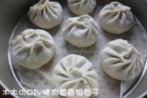 猪肉茴香馅包子的做法图解8