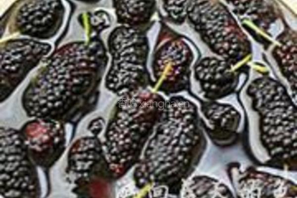 桑葚果酱的做法图解1