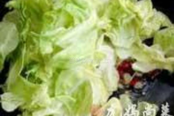 白油包菜的做法图解2