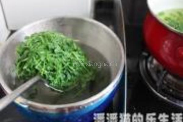 嫩桃仁拌豆尖的做法图解4