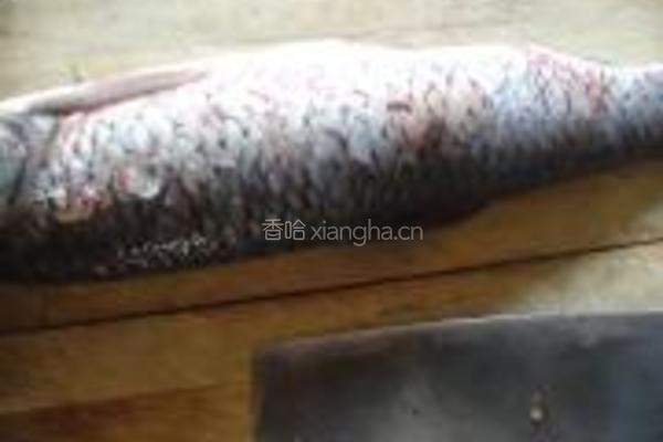 草鱼炖豆腐的做法图解1