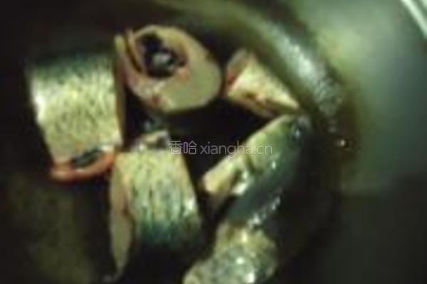 草鱼炖豆腐的做法图解6