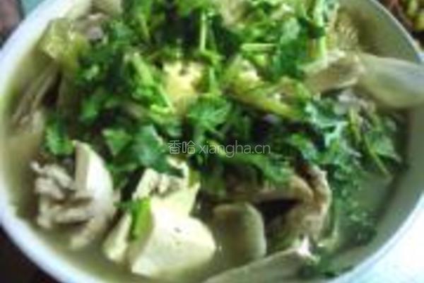 草鱼炖豆腐的做法图解9