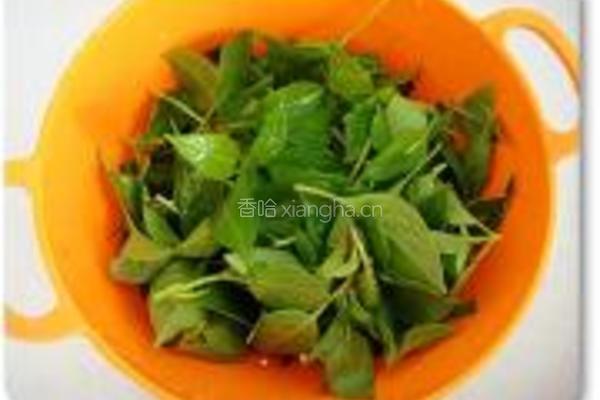 新鲜手工罗勒酱的做法图解2