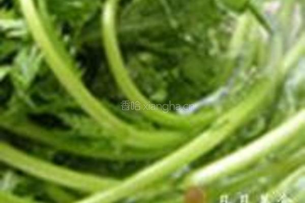 筒篙炒豆芽的做法图解1