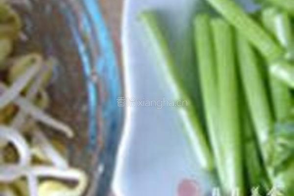 筒篙炒豆芽的做法图解2