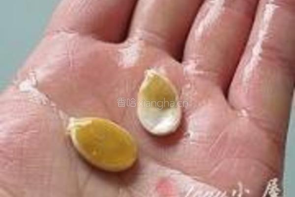 南瓜子零嘴的做法图解2