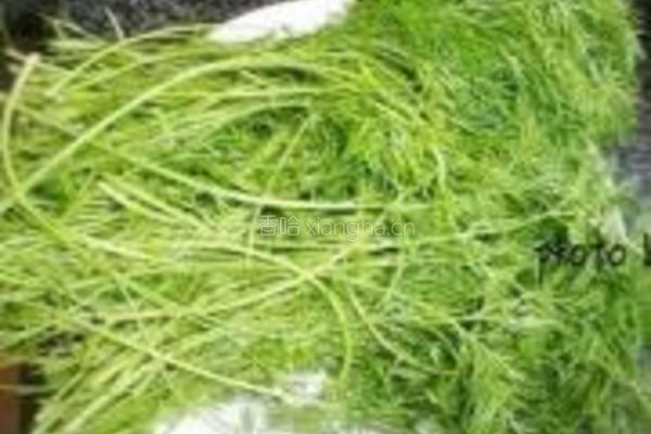 茴香猪肉饺的做法图解2