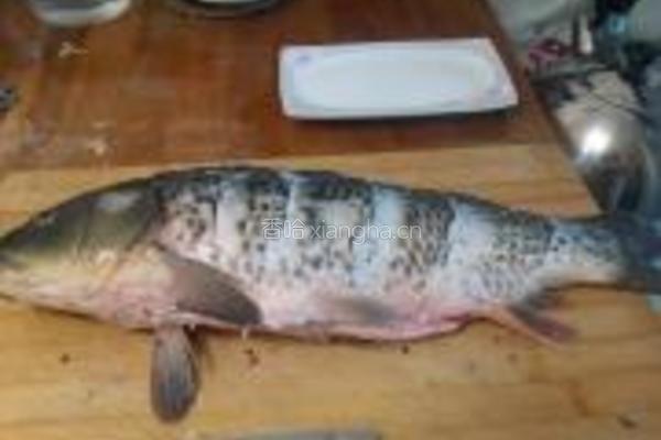 红烧鲤鱼的做法图解2