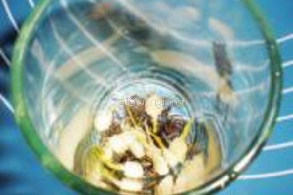 茉莉花绿茶的做法图解2