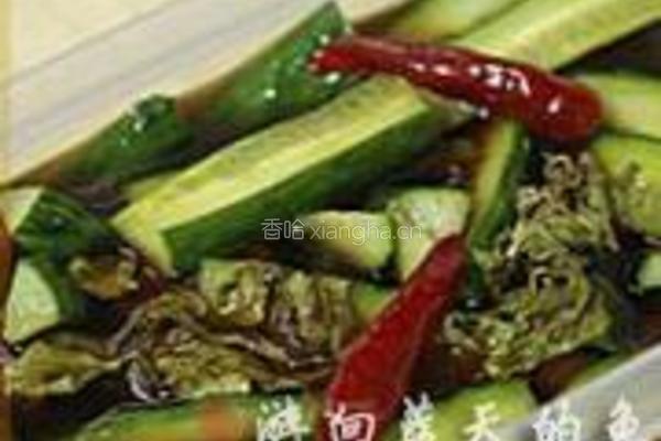 凉腌黄瓜的做法图解7