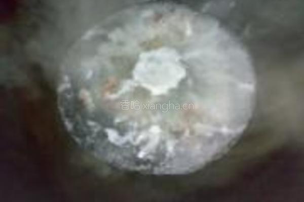 捞水八爪鱼的做法图解5