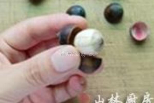 莲子心茶的做法图解2