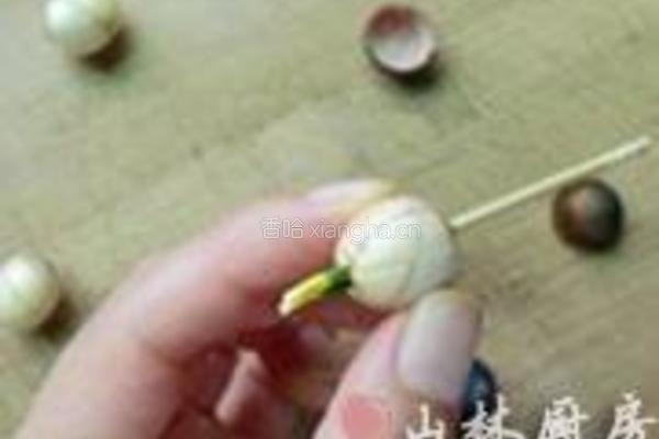 莲子心茶的做法图解3