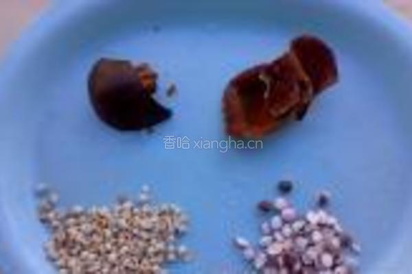 茶树菇鸡汤的做法图解3