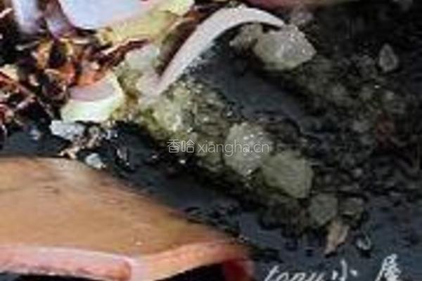 红烧牛肉面的做法图解16
